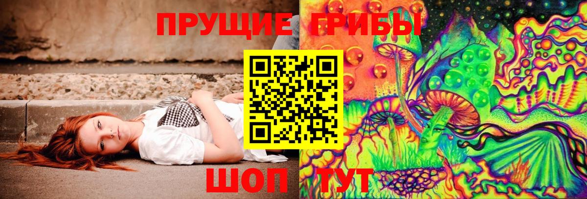 Богородск  Галлюциногенные грибы Psilocybine cubensis  Вход с VPN  Псилоцибиновые грибы прущие грибы 