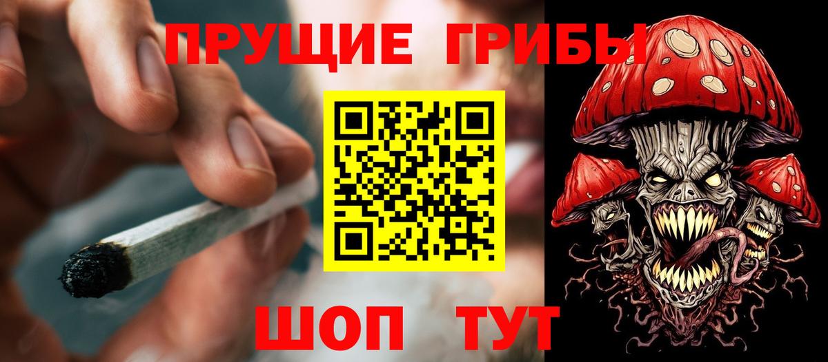 Псилоцибиновые грибы прущие грибы Богородск